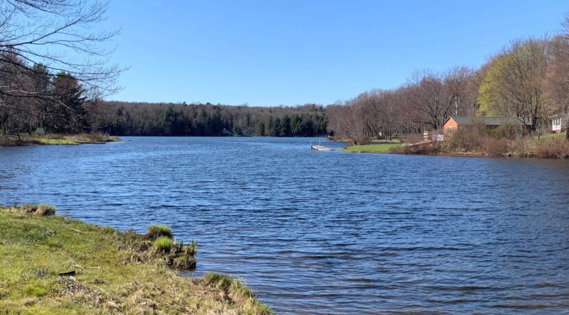 lakefront view