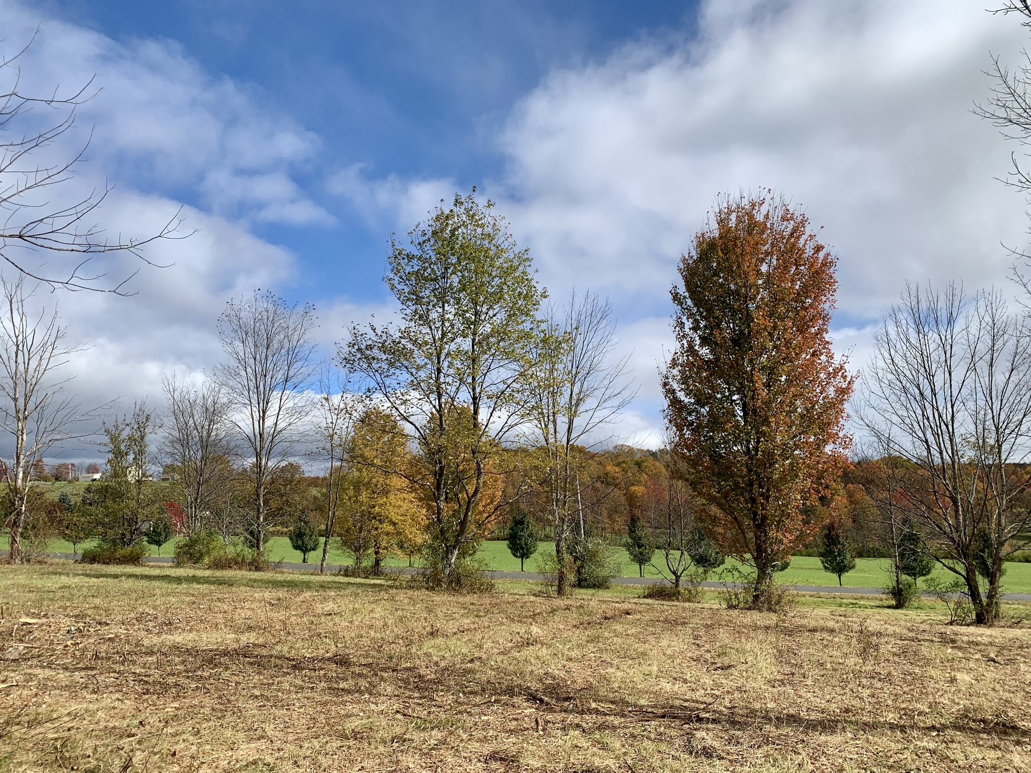 13 acres Lenox Township Susquehanna County PA