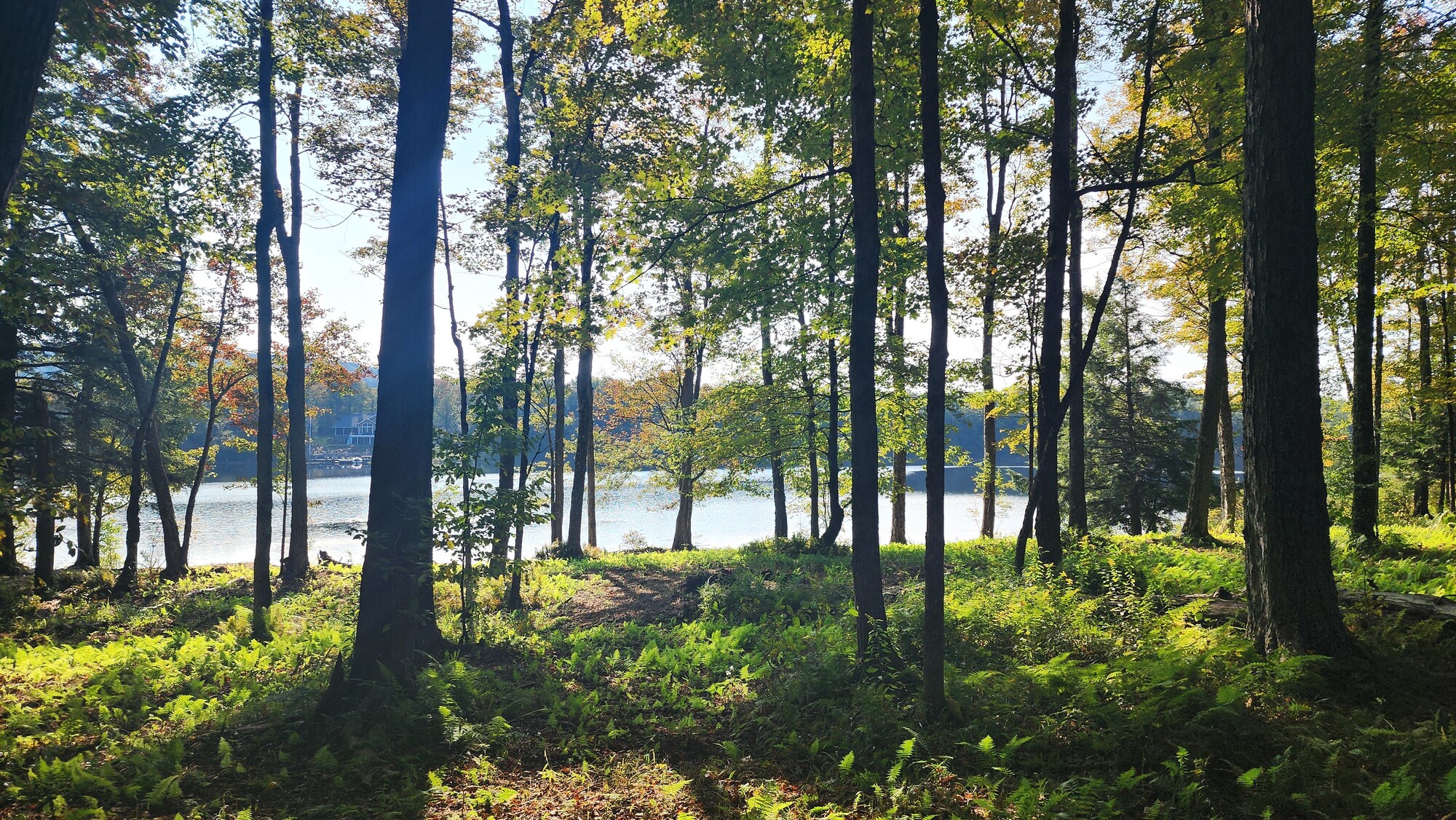 11.8 acre Lakefront Lot