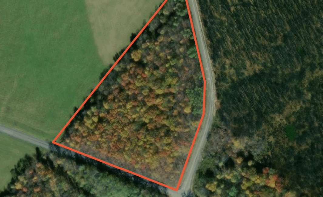 aerial1
